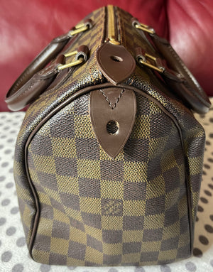 Louis Vuitton Damier Ebene Speedy 25 Bag