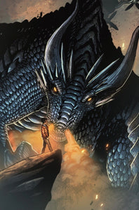 Dragon Whisperer #1 Virgin