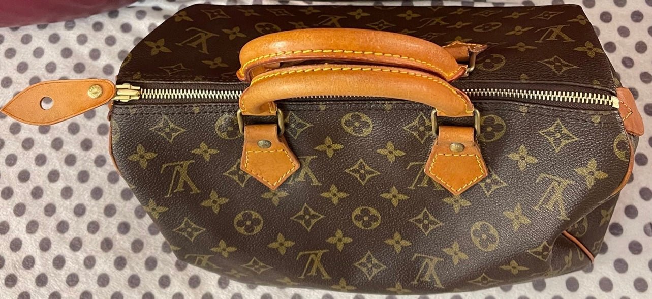 Louis Vuitton Small Speedy Leather Zip Pull-tab
