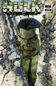 Hulk #1 Turini Two Book Set