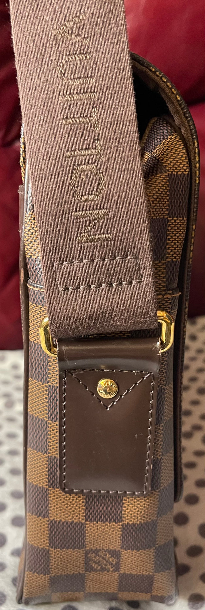 Louis Vuitton Damier Ebene Shelton Unisex Messenger Bag